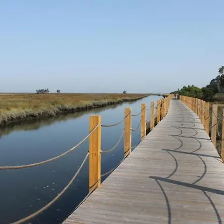 Διαμέρισμα Rosa D'aveiro Αβέιρο