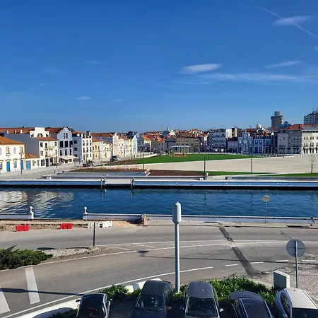 Rosa D'aveiro *