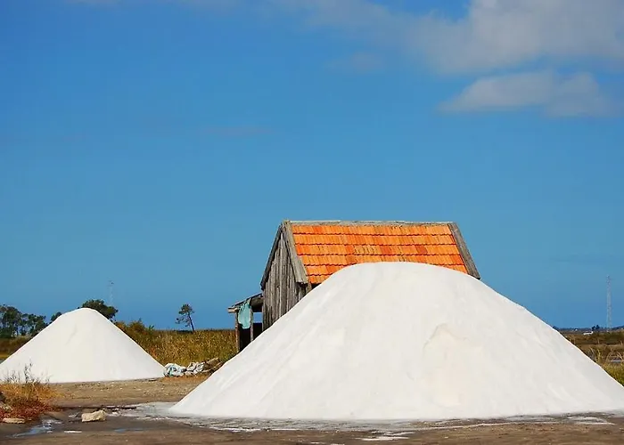 Rosa D'aveiro Aveiro