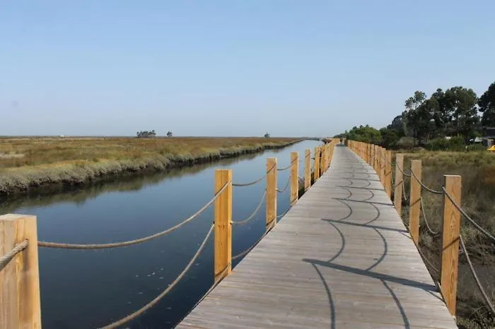 Apartment Rosa D'aveiro Aveiro